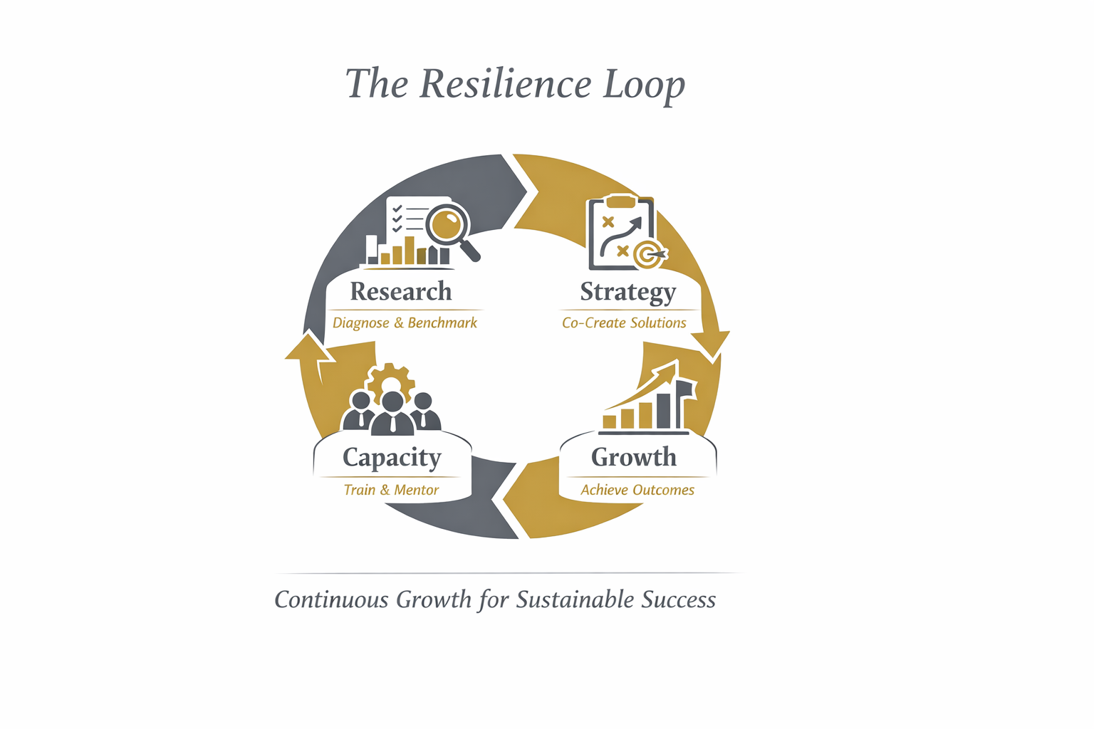 Resilience Loop Model
